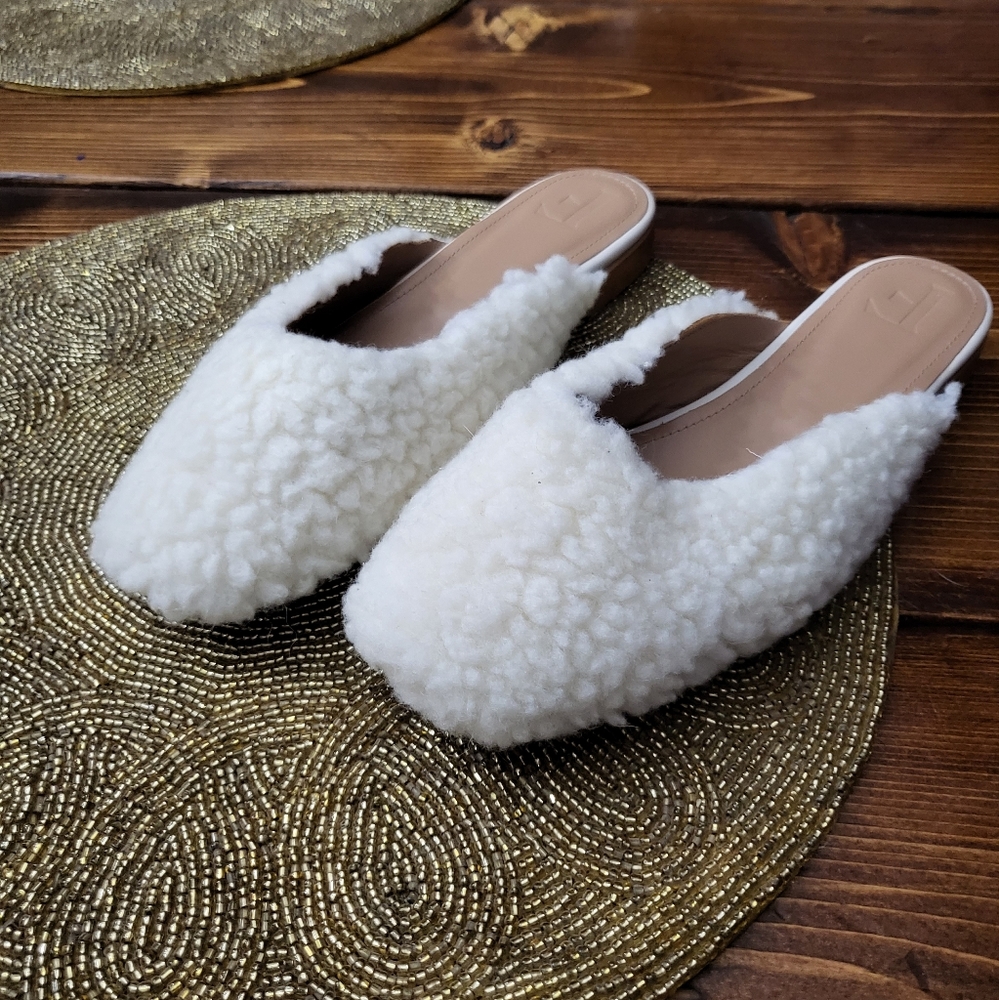 Flattered SZ 7.5 wool Mule Shoes